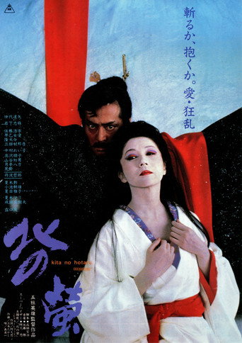 Fireflies in the North (1984) poster