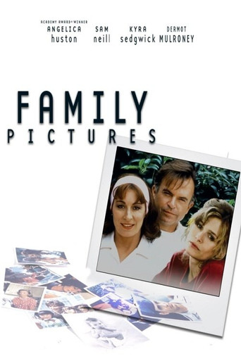 Family Pictures (1993) poster