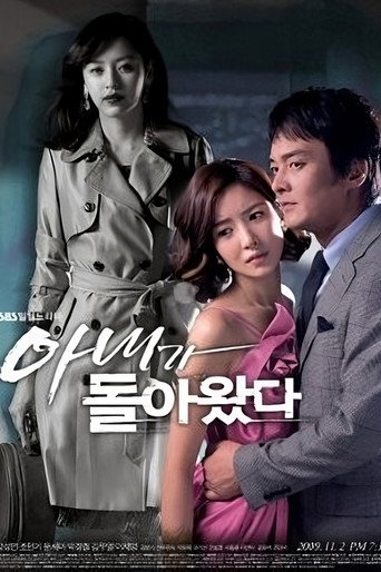 Wife Returns (2009) poster