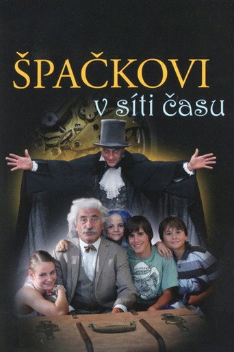 Špačkovi v síti času (2013) poster
