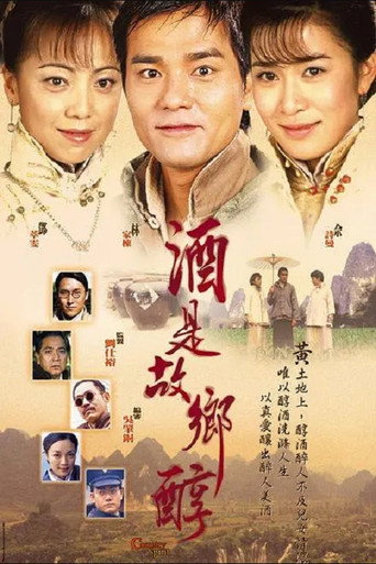 Country Spirit (2001) poster