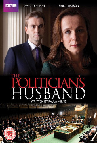 The Politician's Husband (2013) poster