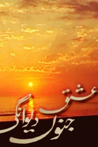 Ishq Junoon Deewangi (2009) poster