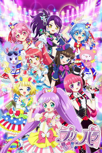 PriPara (2014) poster