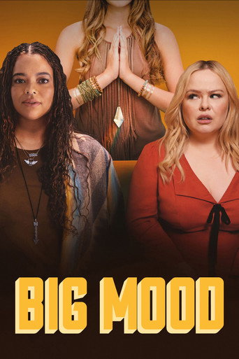 Big Mood (2024) poster