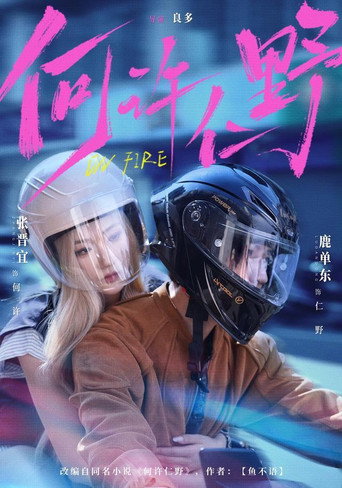 何许仁野 (2026) poster
