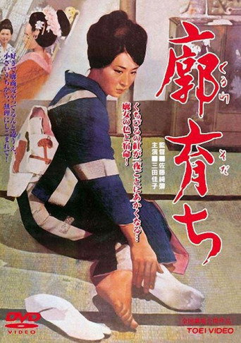 Raised in a Palace (1964) poster