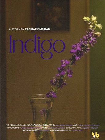 INDIGO (2026) poster