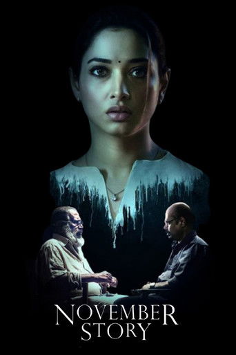 November Story (2021) poster