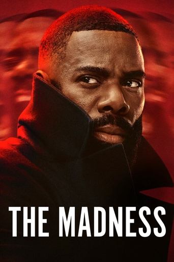 The Madness (2024) poster
