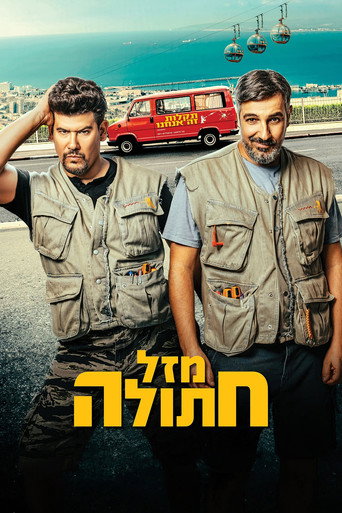 Cat's Luck (2024) poster