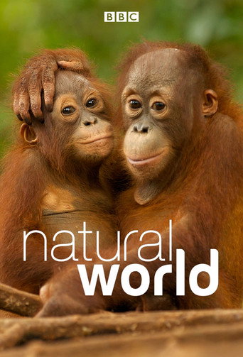 Natural World (1983) poster