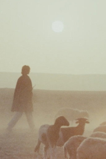 Woman is Sweeter (1973) poster