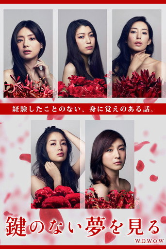 Kagi no nai Yume wo Miru (2013) poster