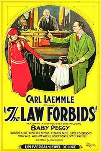 The Law Forbids (1924) poster