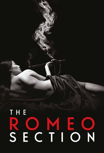 The Romeo Section (2015) poster