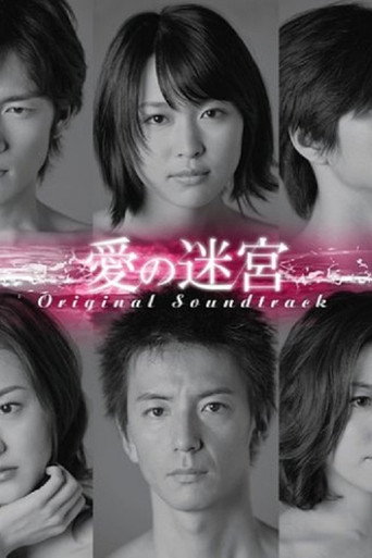 愛の迷宮 (2007) poster