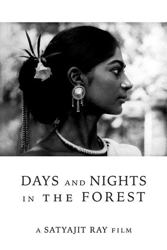 Days and Nights in the Forest (1970) poster