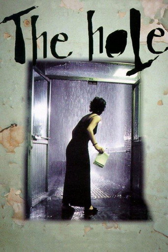 The Hole (1999) poster