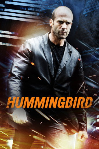 Hummingbird (2013) poster