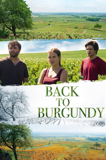 Back to Burgundy (2017) poster