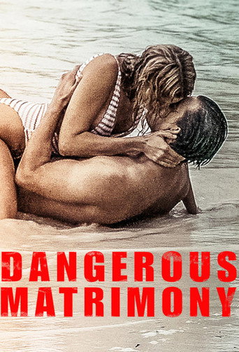 Dangerous Matrimony (2018) poster