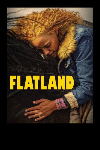 Flatland (2019) poster