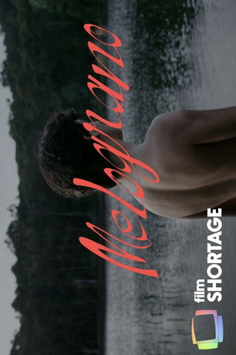 Melograno (2023) poster