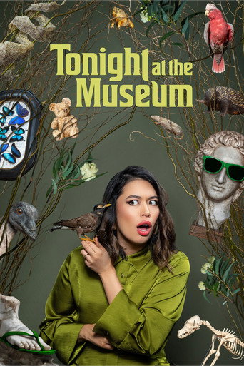 Tonight at the Museum (2026) poster