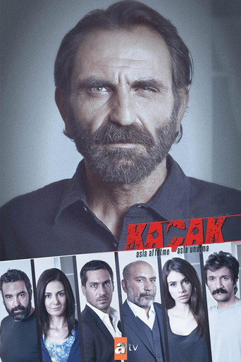 Kaçak (2013) poster