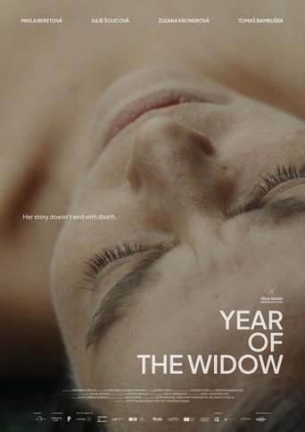 Year of the Widow (2024) poster