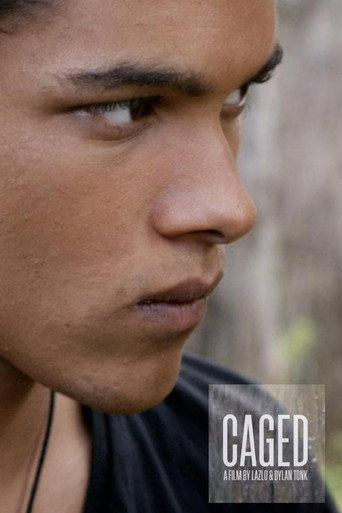 Caged (2013) poster
