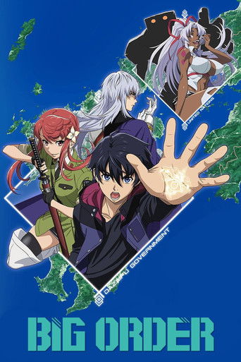 Big Order (2016) poster