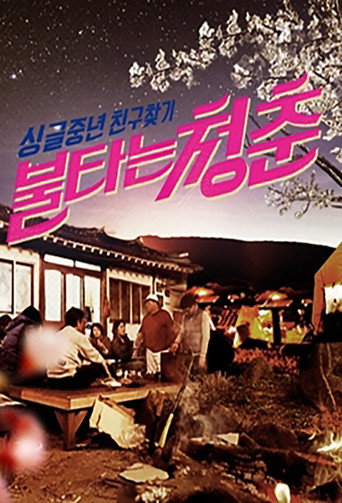 불타는 청춘 (2015) poster