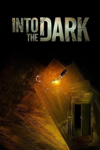 Into the Dark (2021) poster