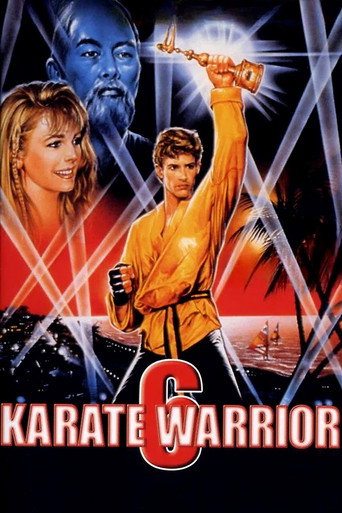 Karate Warrior 6 (1993) poster