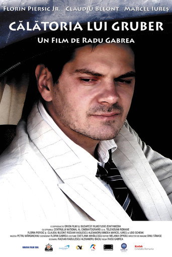 Gruber's Journey (2009) poster