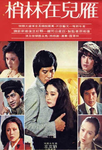 The Wild Goose on the Wing (1979) poster