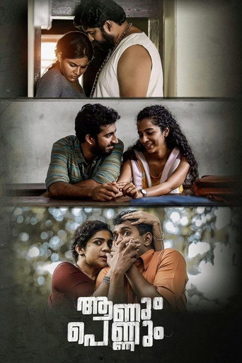 Aanum Pennum (2021) poster