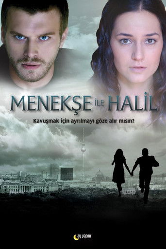 Menekse and Halil (2007) poster