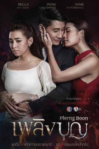 The Fire of Virtue (2017) poster