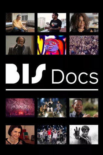 BIS Docs (2013) poster