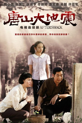 Aftershock (2013) poster