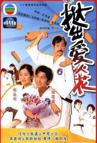 Aiming High (2000) poster