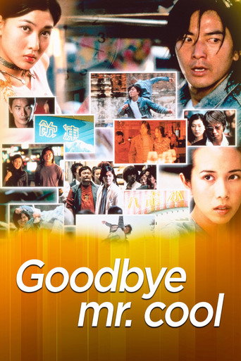 Goodbye, Mr. Cool (2001) poster