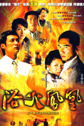 浴火凤凰 (2006) poster