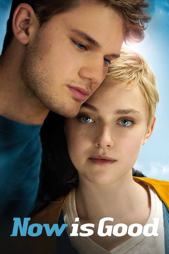 Now Is Good (2012) poster