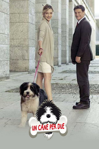 Un cane per due (2010) poster