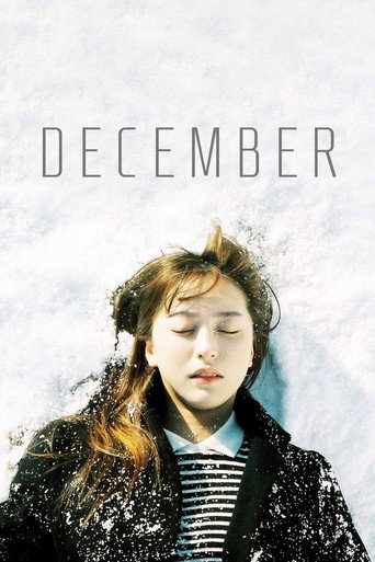 December (2014) poster