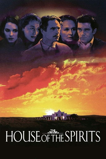 The House of the Spirits (1993) poster